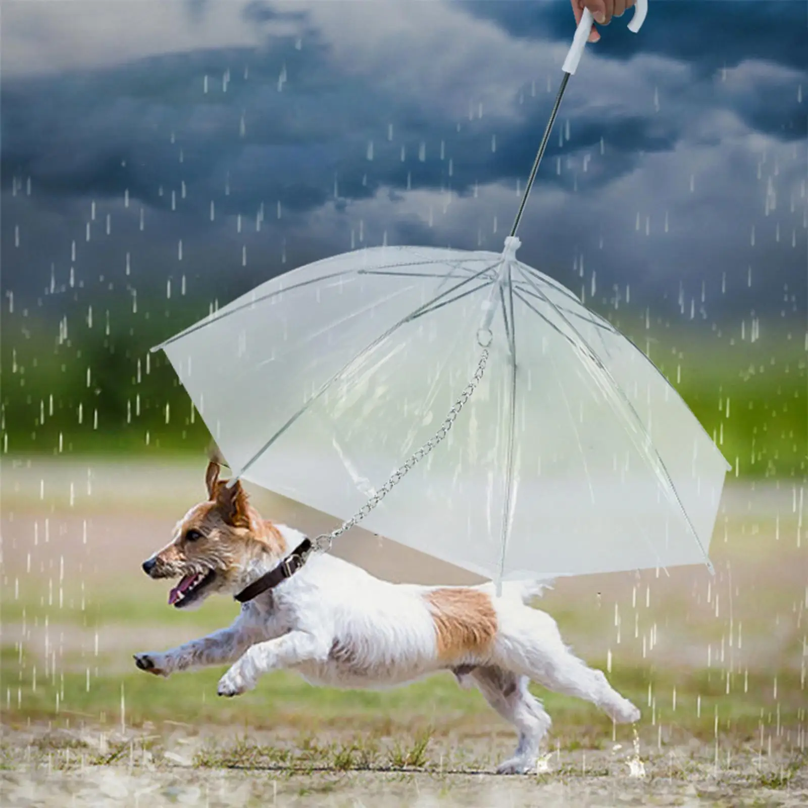 High Quality Pet Umbrella Transparent Dog Umbrella with Leash Assembly for Rain